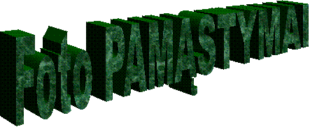  Foto PAM�STYMAI  